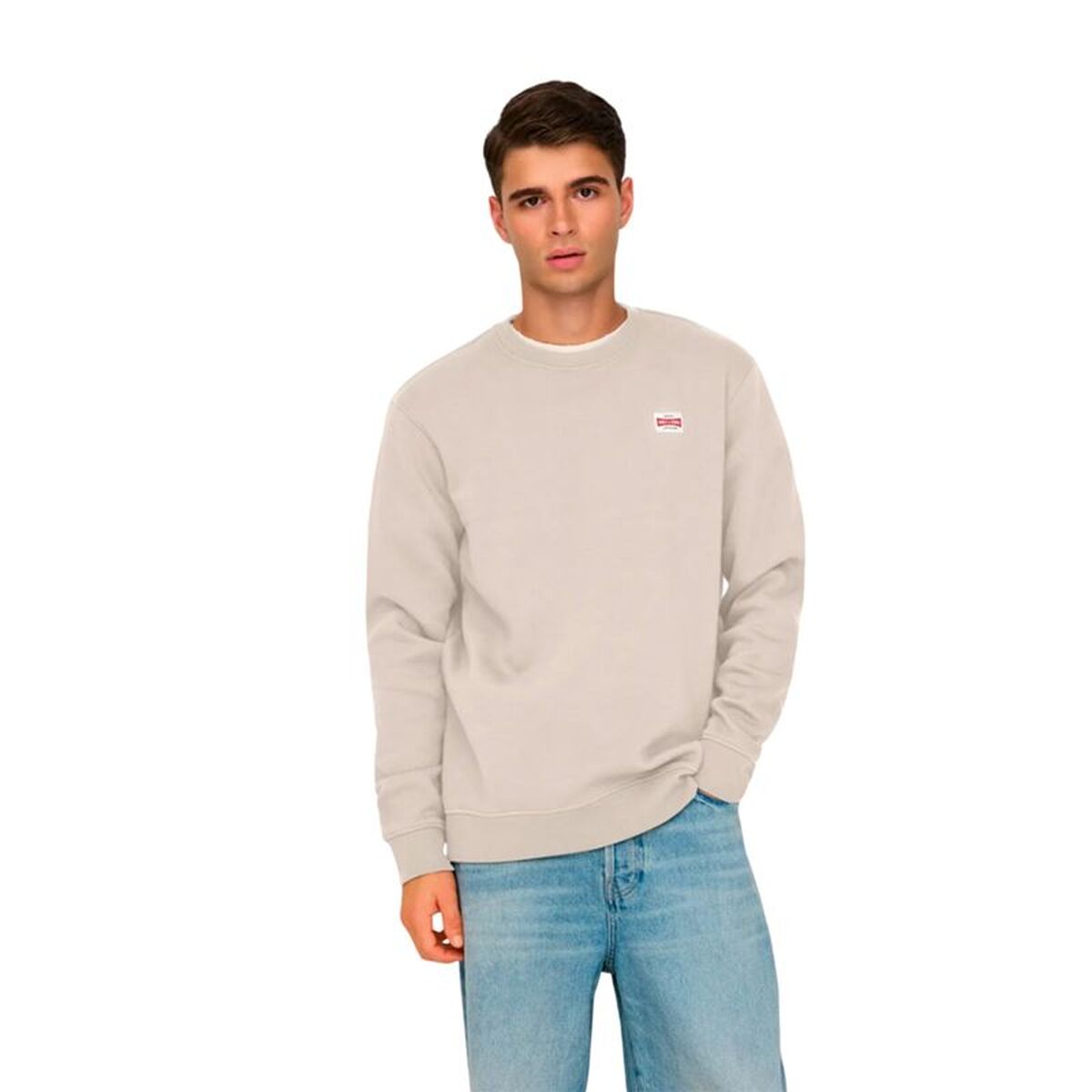 Men’s Sweatshirt without Hood Only & Sons Onsdawson Reg Crew Vd White
