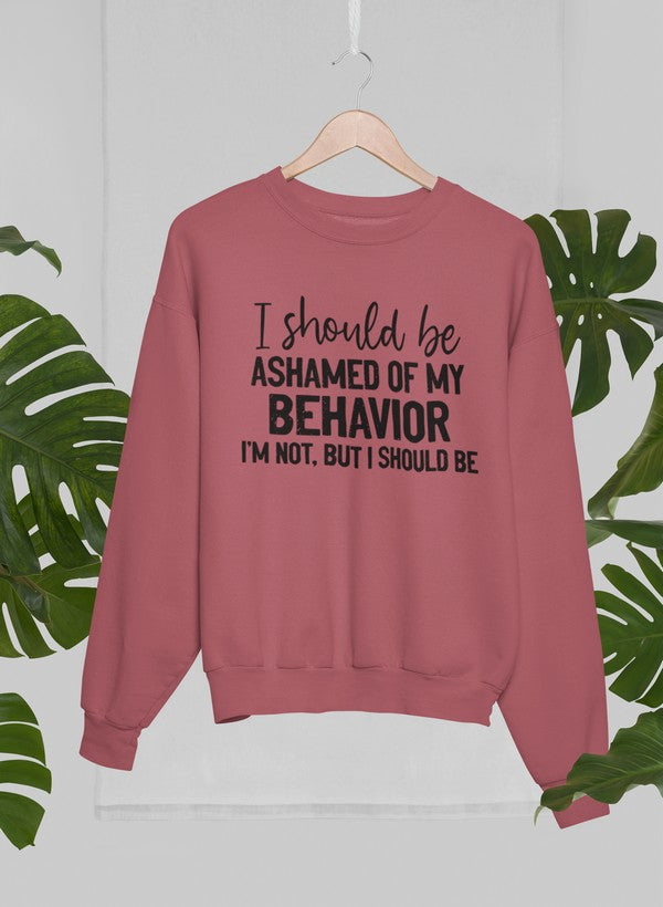 My Behavior Sweat Shirt